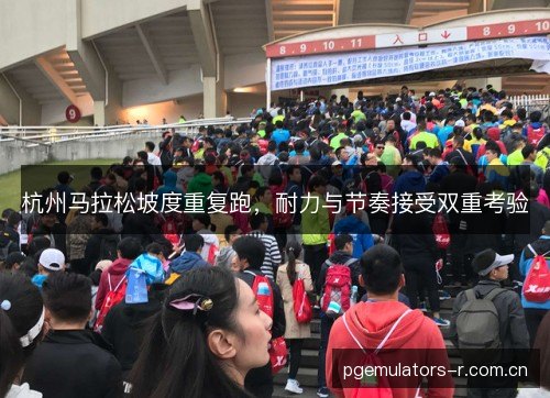 杭州马拉松坡度重复跑,耐力与节奏接受双重考验 杭州马拉松坡度重复跑,耐力与节奏接受双重考验