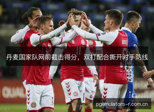 丹麦国家队网前截击得分,双打配合撕开对手防线 丹麦国家队网前截击得分,双打配合撕开对手防线